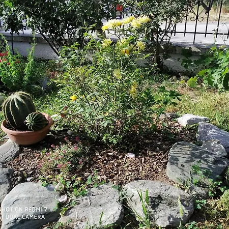 Cozy Apartment With Garden Apartment *